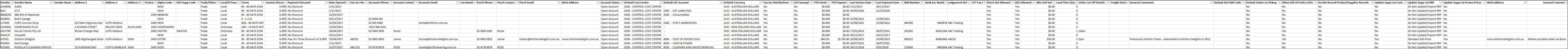 Example of Vendor Masterfile Report - Excel